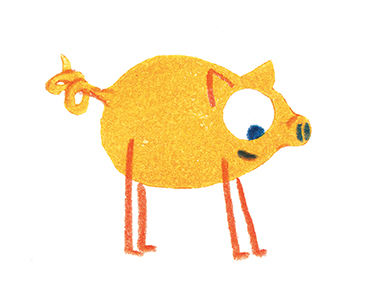 pig